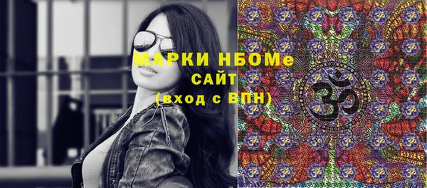 стаф Новокубанск