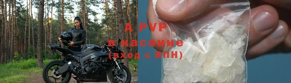 гашик Новозыбков