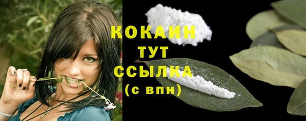стаф Новокубанск