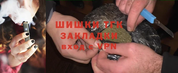 стаф Новокубанск
