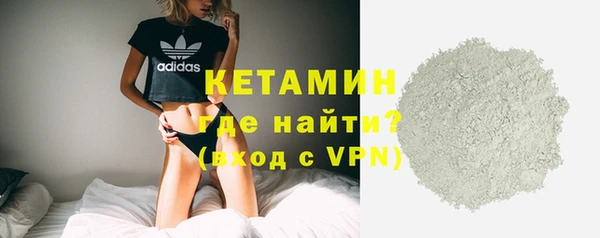 гашик Новозыбков