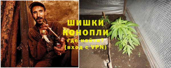 стаф Новодвинск