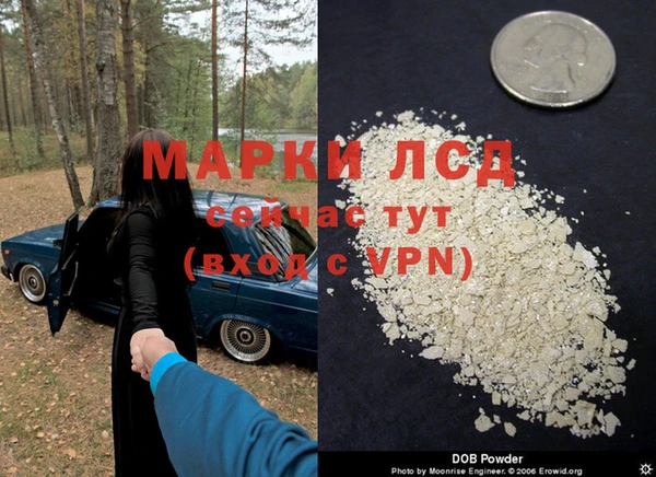 стаф Новокубанск