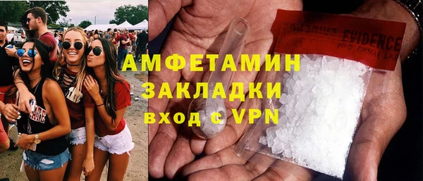 гашик Новозыбков