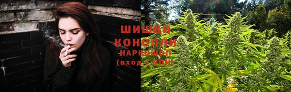 стаф Новодвинск