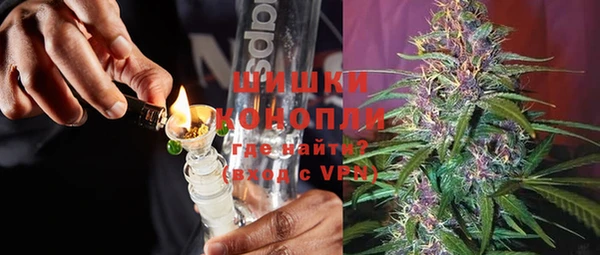стаф Новодвинск