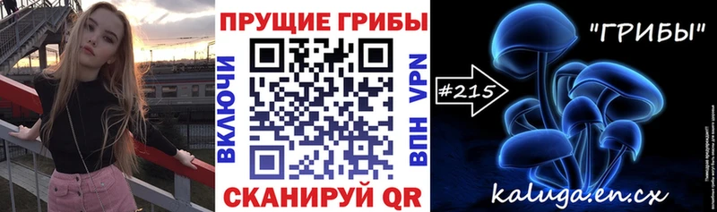 купить закладку  Иваново  Галлюциногенные грибы Magic Shrooms 