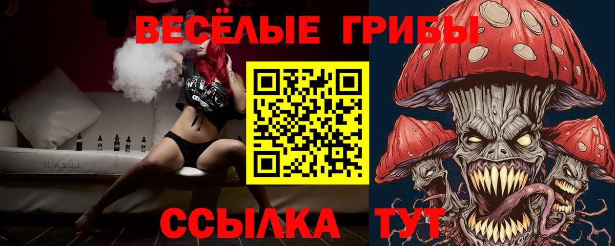 купить наркотик  Вход с VPN  Иваново  Галлюциногенные грибы Cubensis 